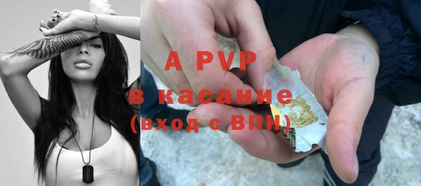 эйфоретик Осташков