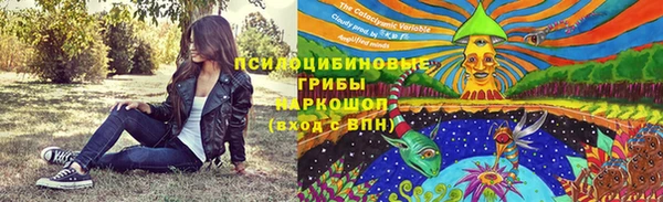винт Алексин