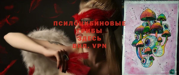 индика Алексеевка